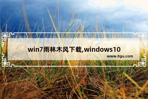 win7雨林木风下载,windows10雨林木风