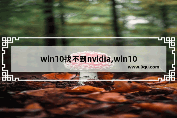 win10找不到nvidia,win10显示驱动程序错误