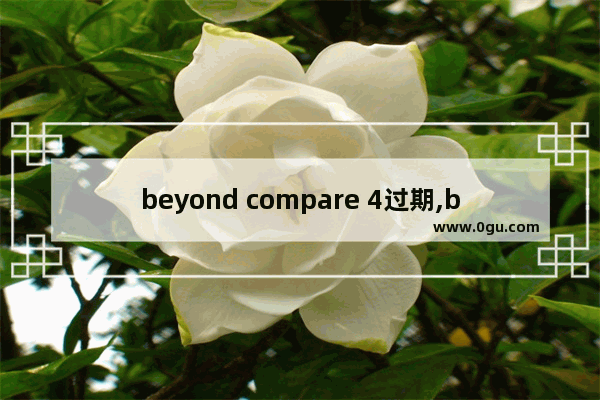 beyond compare 4过期,beyond compare试用期结束