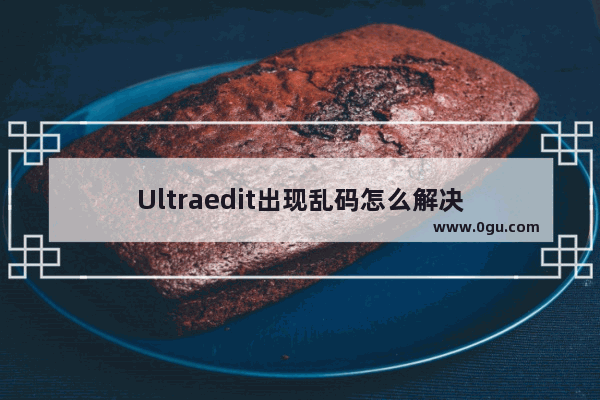 Ultraedit出现乱码怎么解决