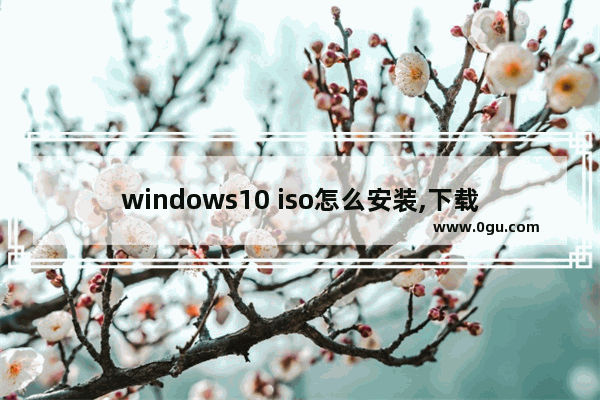 windows10 iso怎么安装,下载的win10 iso文件可以直接安装吗