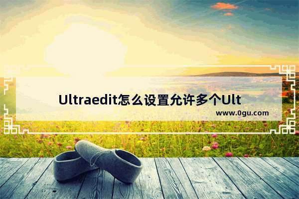 Ultraedit怎么设置允许多个Ultraedit