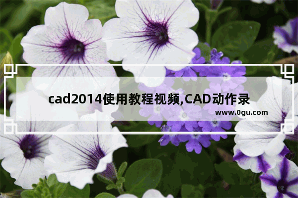 cad2014使用教程视频,CAD动作录制器