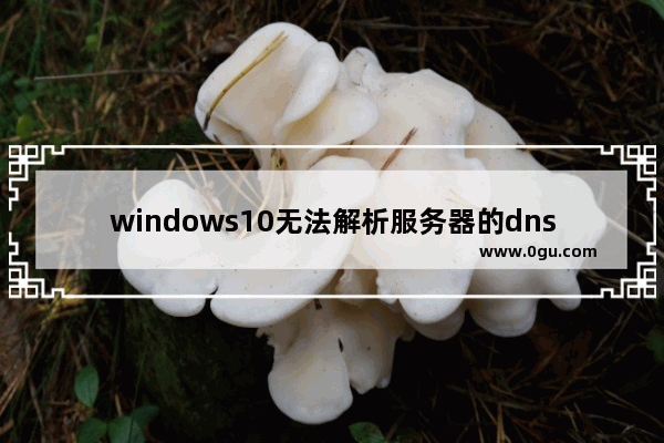 windows10无法解析服务器的dns地址怎么办,浏览器打不开,无法解析服务器的dns