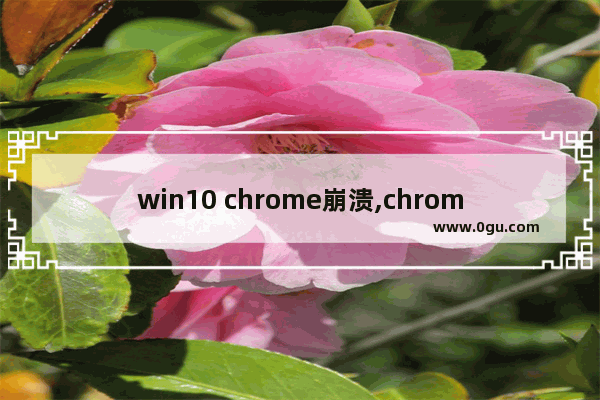 win10 chrome崩溃,chrome谷歌网站响应时间过长win10