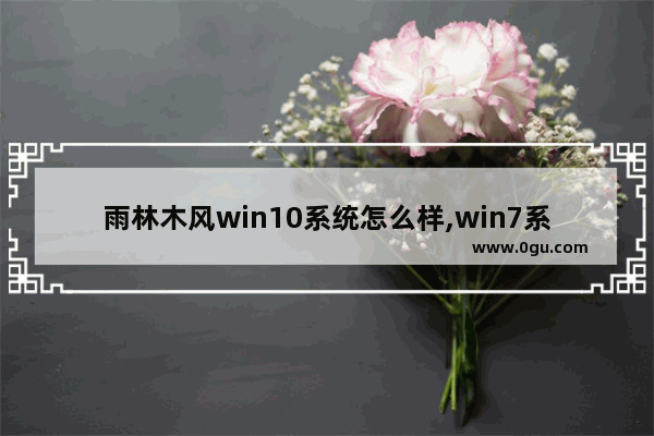 雨林木风win10系统怎么样,win7系统之家好还是雨林木风好