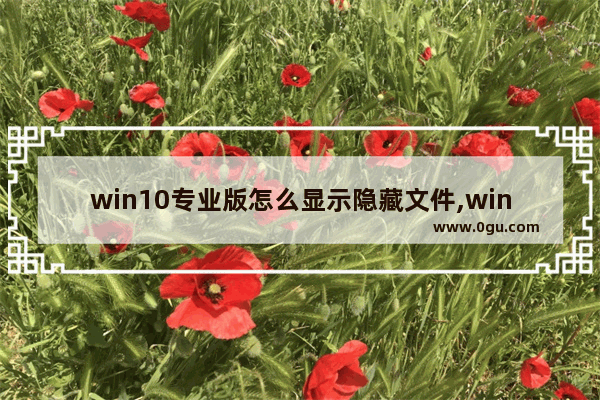 win10专业版怎么显示隐藏文件,window10文件隐藏和显示