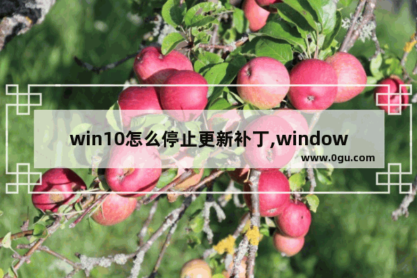 win10怎么停止更新补丁,windows10更新怎么关闭