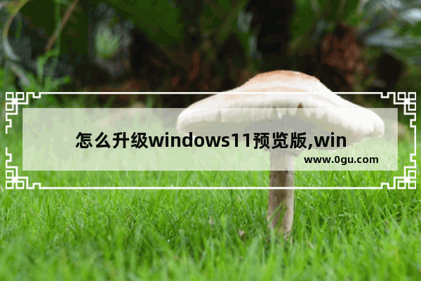 怎么升级windows11预览版,win10怎么升级win11预览版