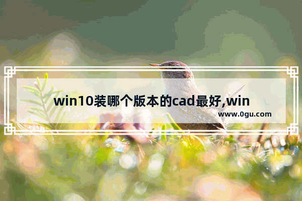 win10装哪个版本的cad最好,win10系统适合安装哪个版本的CAD