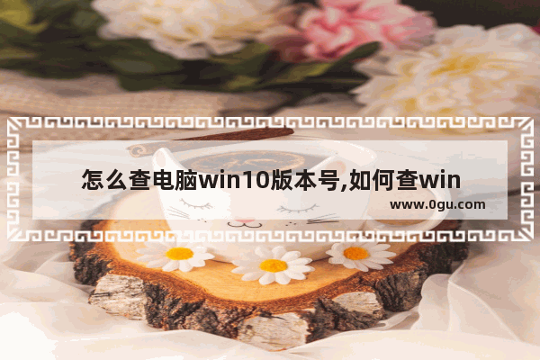 怎么查电脑win10版本号,如何查windows 10版本号