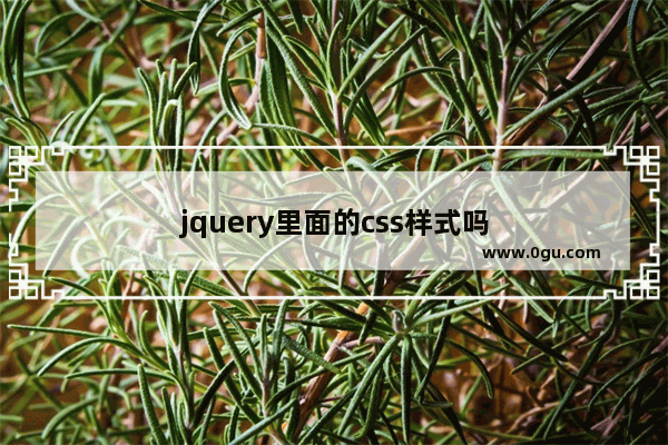 jquery里面的css样式吗