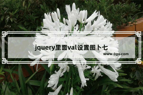 jquery里面val设置图卜七