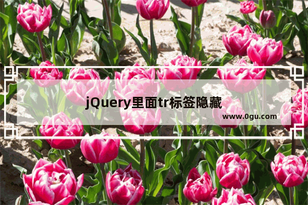 jQuery里面tr标签隐藏