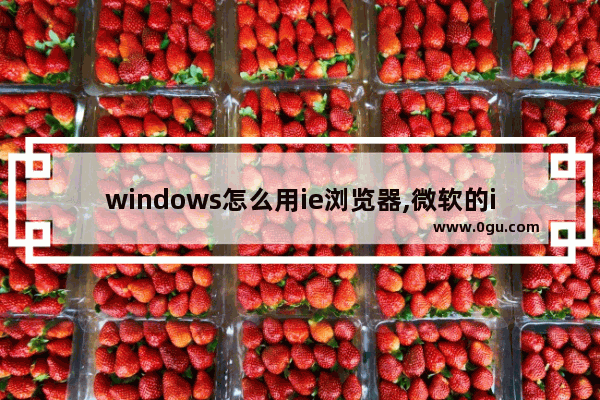 windows怎么用ie浏览器,微软的ie浏览器