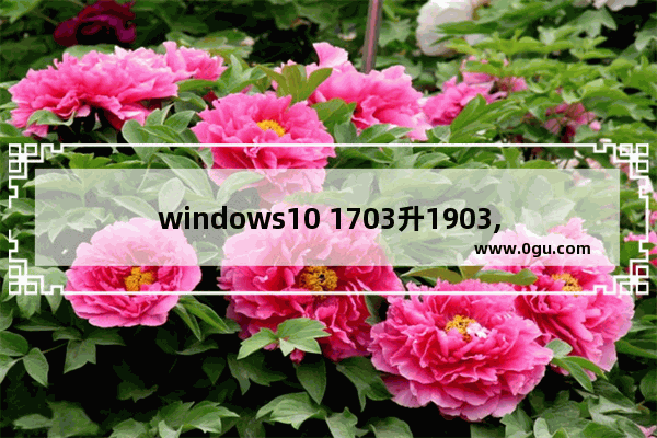 windows10 1703升1903,win101607怎么升级1903