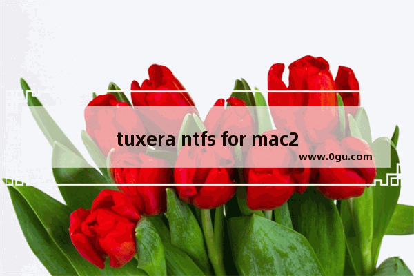 tuxera ntfs for mac2020,tuxera ntfs for mac试用期已过期