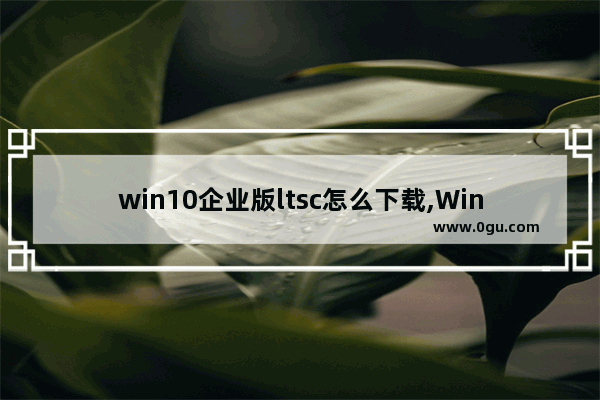 win10企业版ltsc怎么下载,Windows 10 企业版 LTSC下载