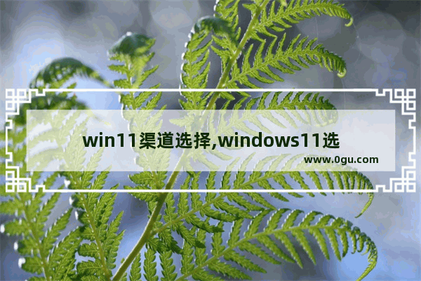 win11渠道选择,windows11选哪个渠道