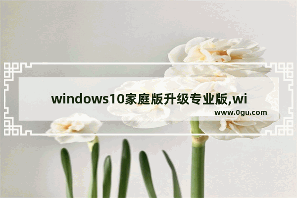 windows10家庭版升级专业版,win10家庭中文版怎么升级win10专业版