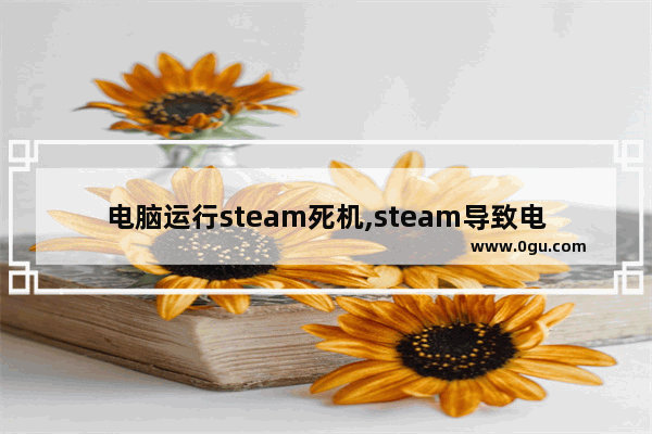 电脑运行steam死机,steam导致电脑死机