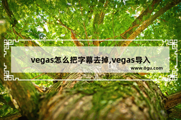 vegas怎么把字幕去掉,vegas导入字幕