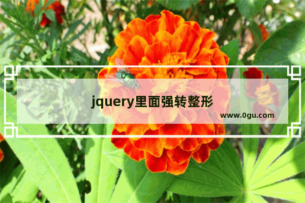 jquery里面强转整形