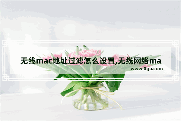 无线mac地址过滤怎么设置,无线网络mac地址过滤设置