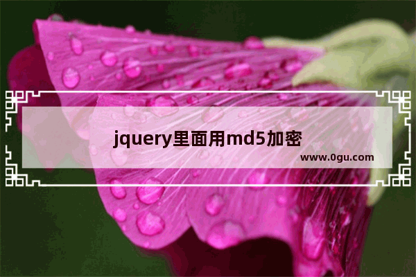 jquery里面用md5加密