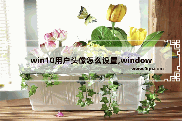 win10用户头像怎么设置,window10怎么更改用户头像