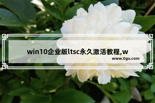 win10企业版ltsc永久激活教程,windows10企业版ltsc怎么激活