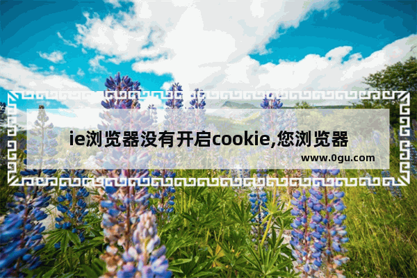 ie浏览器没有开启cookie,您浏览器的 cookies 设置必须打开