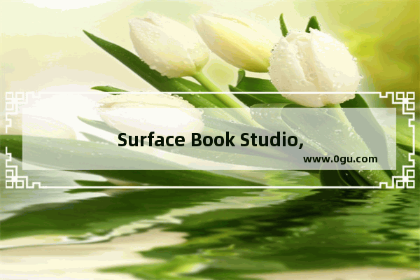 Surface Book Studio,surface关于本机