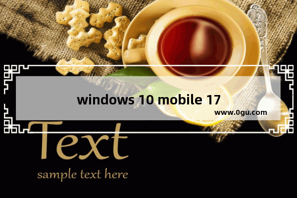 windows 10 mobile 1709,win1019042.630版 1