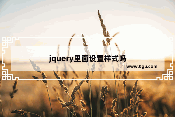 jquery里面设置样式吗