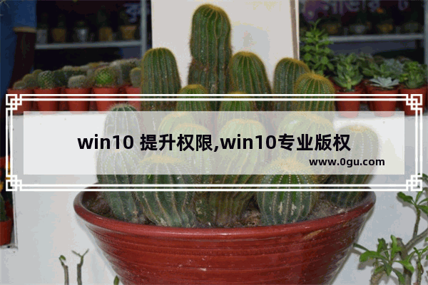 win10 提升权限,win10专业版权限管理解除