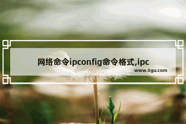 网络命令ipconfig命令格式,ipconfig命令大全