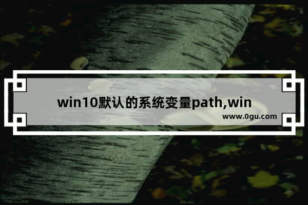 win10默认的系统变量path,windows10系统变量默认path