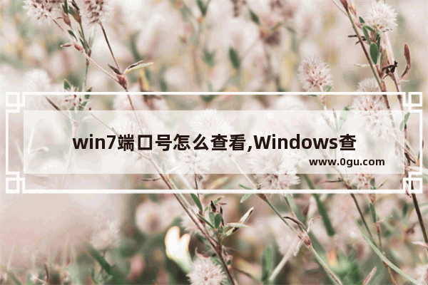 win7端口号怎么查看,Windows查询端口号