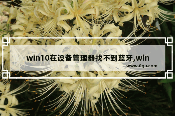 win10在设备管理器找不到蓝牙,windows10设备管理器找不到蓝牙