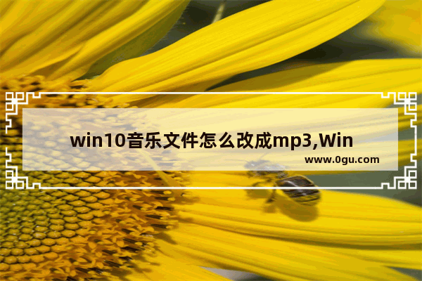 win10音乐文件怎么改成mp3,Win10怎么转换音频格式