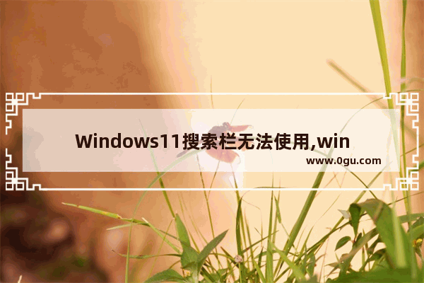 Windows11搜索栏无法使用,win10搜索栏输入不进去