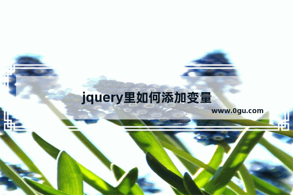 jquery里如何添加变量