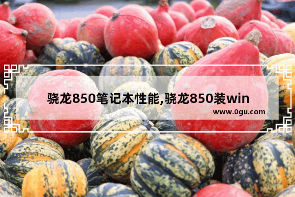 骁龙850笔记本性能,骁龙850装win10