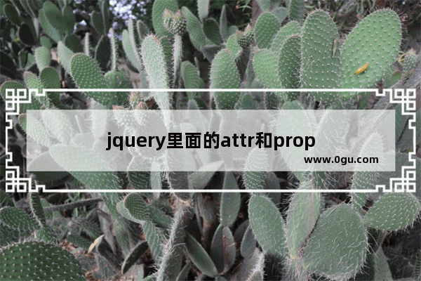 jquery里面的attr和prop