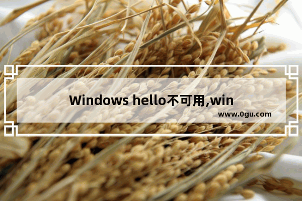 Windows hello不可用,windows hello人脸识别设置灰色