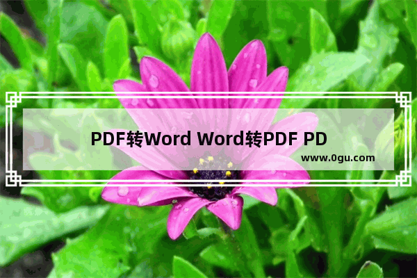 PDF转Word Word转PDF PDF转换器   超级PDF,pdf转换word免费工具下载