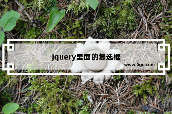 jquery里面的复选框