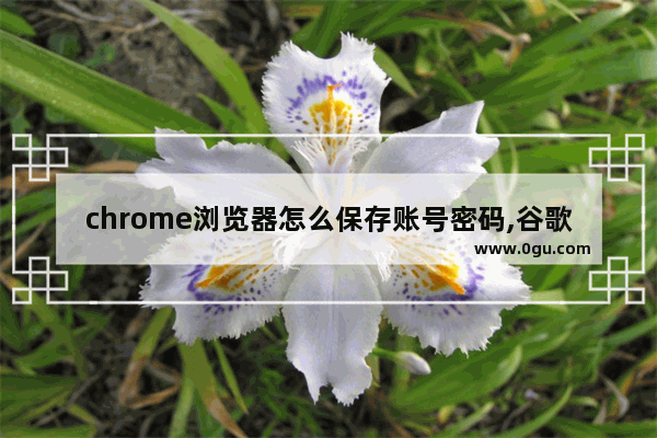 chrome浏览器怎么保存账号密码,谷歌浏览器怎么删除记住密码