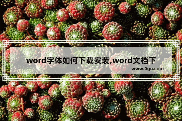 word字体如何下载安装,word文档下载的字体如何安装